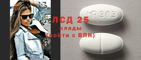 шишки Абаза