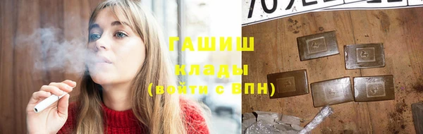 шишки Абаза