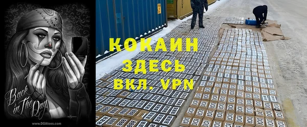 шишки Абаза