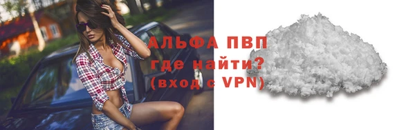 шишки Абаза