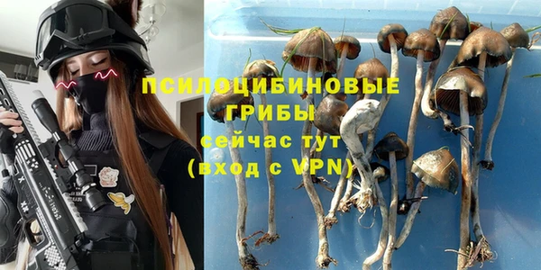 СК Абинск