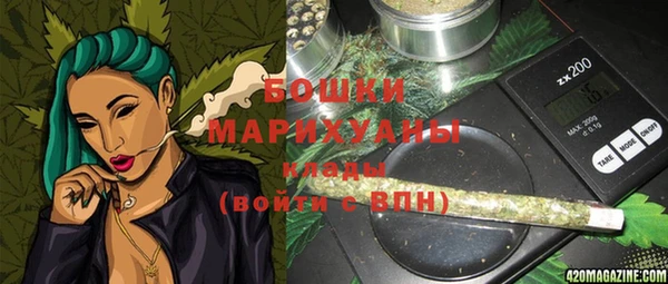 гидра Алексин