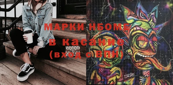 шишки Абаза