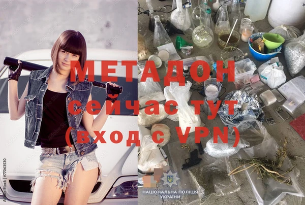 шишки Абаза