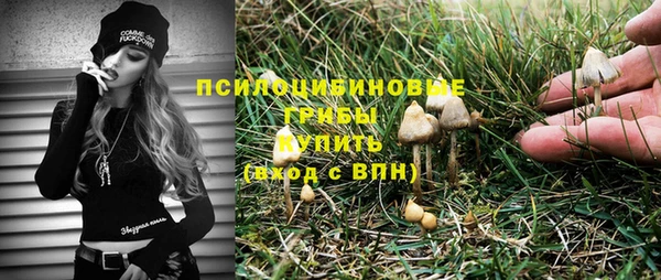 СК Абинск