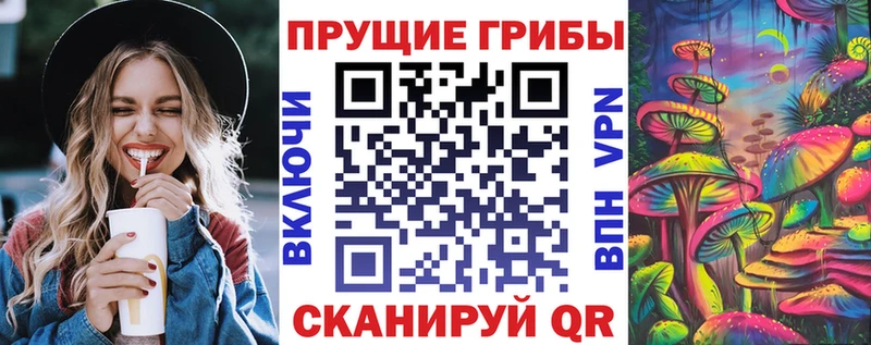 MEGA онион  Кочубеевское  Псилоцибиновые грибы Psilocybine cubensis 